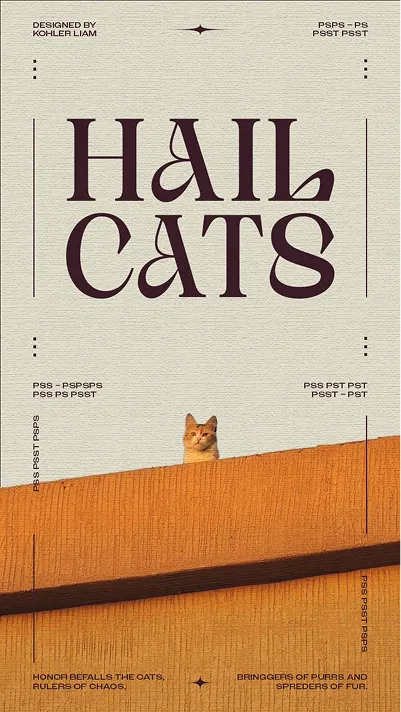 hail cats